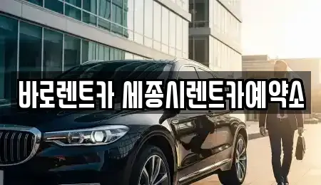 세종 다정동 장기렌트카 전문 바로렌트카 세종시렌트카예약소