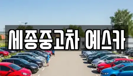 세종 다정동 중고차매매 전문 세종중고차 예스카
