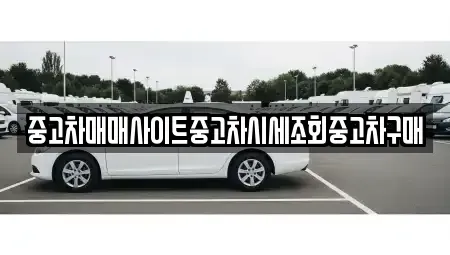 세종 다정동 중고차매매 전문 중고차매매사이트중고차시세조회중고차구매