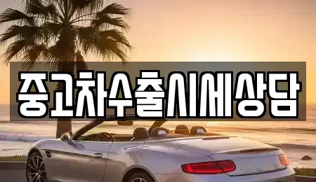 세종 다정동 중고차매매 전문 중고차수출시세상담