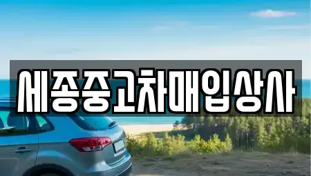 세종 다정동 중고차매입 전문 세종중고차매입상사