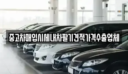 세종 다정동 중고차매입 전문 중고차매입시세내차팔기견적가격수출업체