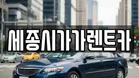 세종 새롬동 렌트카 전문 세종시가가렌트카