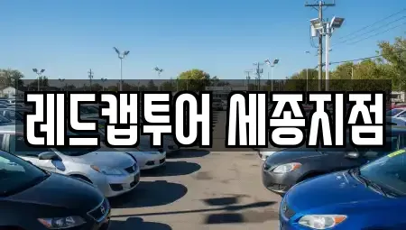 세종 새롬동 장기렌트카 전문 레드캡투어 세종지점