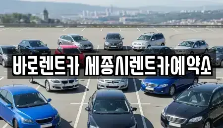 세종 새롬동 장기렌트카 전문 바로렌트카 세종시렌트카예약소