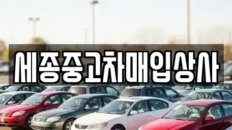 세종 새롬동 중고차 전문 세종중고차매입상사