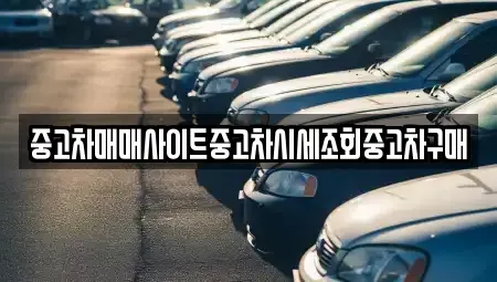세종 새롬동 중고차 전문 중고차매매사이트중고차시세조회중고차구매
