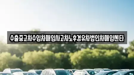 세종 새롬동 중고차매입 전문 수출중고차수입차매입사고차노후경유차법인차매입센타