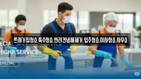 쓰레기집청소.특수청소.반려견냄새제거.입주청소.이사청소.사무소