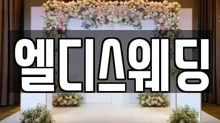 엘디스웨딩