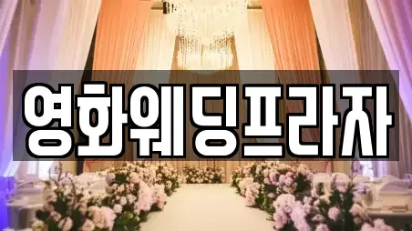 영화웨딩프라자