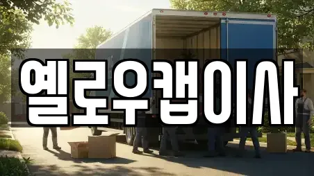 옐로우캡이사