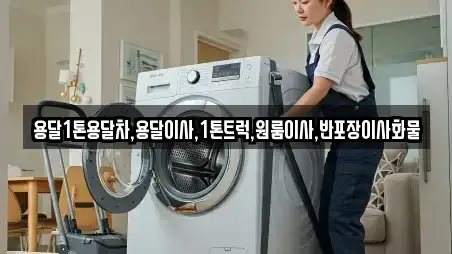 용달1톤용달차,용달이사,1톤트럭,원룸이사,반포장이사화물