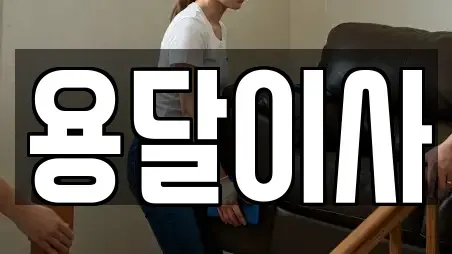용달이사