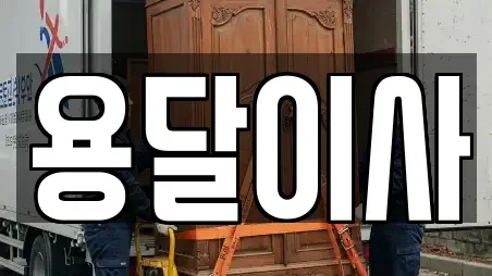 이사 경남 창원시 마산합포구 교방동 추천 17업체