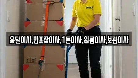 충청남도 아산시 남동 원룸이사 11곳 정보