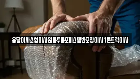 용달이사소형이사원룸투룸오피스텔반포장이사1톤트럭이사