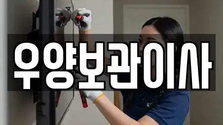 우양보관이사