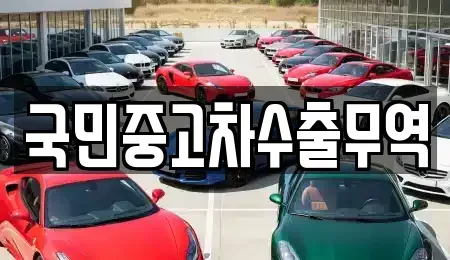 울산광역시 동구 주전동 중고차매매 전문 국민중고차수출무역