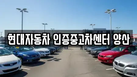 울산광역시 울주군 삼남읍 중고차 전문 현대자동차 인증중고차센터 양산