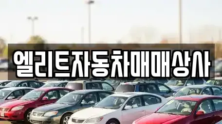울산광역시 울주군 온산읍 중고차매매 전문 엘리트자동차매매상사