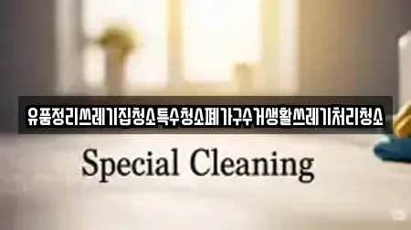 유품정리쓰레기집청소특수청소폐가구수거생활쓰레기처리청소