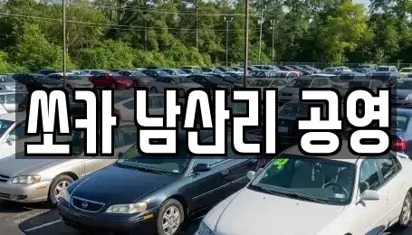 인천 강화군 강화읍 렌트카 전문 쏘카 남산리 공영