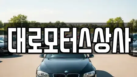 인천 강화군 강화읍 중고차매매 전문 대로모터스상사