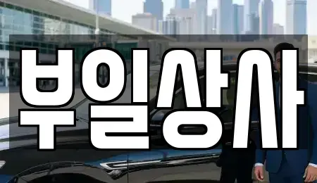 인천 강화군 강화읍 중고차매매 전문 부일상사