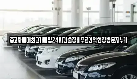 인천 계양구 박촌동 중고차 전문 중고차매매최고가매입24시간출장비무료견적현장방문지누카