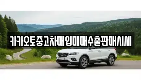 인천 계양구 박촌동 중고차매입 전문 카카오토중고차매입매매수출판매시세