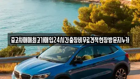 인천 계양구 용종동 중고차 전문 중고차매매최고가매입24시간출장비무료견적현장방문지누카