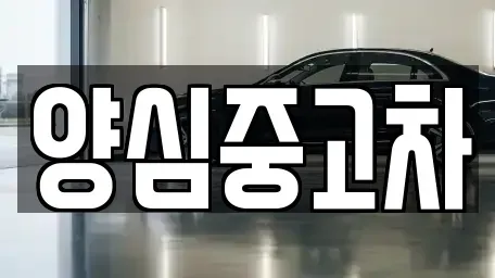 인천 남동구 고잔동 중고차매매 전문 양심중고차