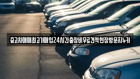 인천 남동구 논현동 중고차매입 전문 중고차매매최고가매입24시간출장비무료견적현장방문지누카