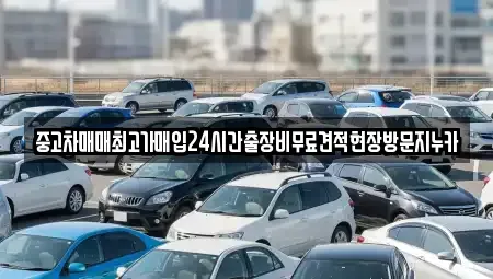 인천 미추홀구 관교동 중고차 전문 중고차매매최고가매입24시간출장비무료견적현장방문지누카