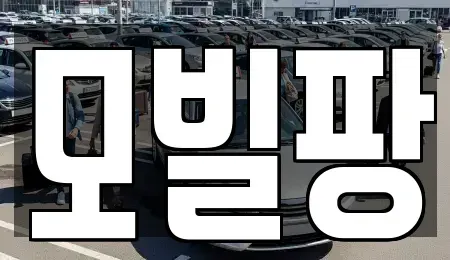 인천 부평구 일신동 중고차 전문 모빌팡
