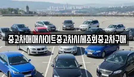 인천 중구 신생동 중고차 전문 중고차매매사이트중고차시세조회중고차구매