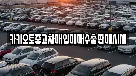 인천 중구 신생동 중고차 전문 카카오토중고차매입매매수출판매시세