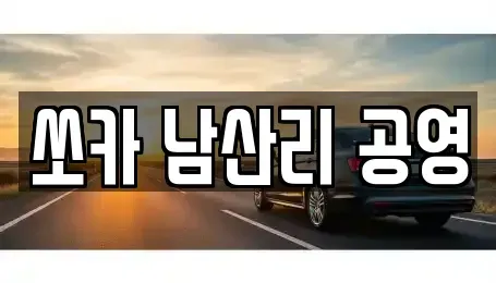 인천광역시 강화군 송해면 렌트카 전문 쏘카 남산리 공영