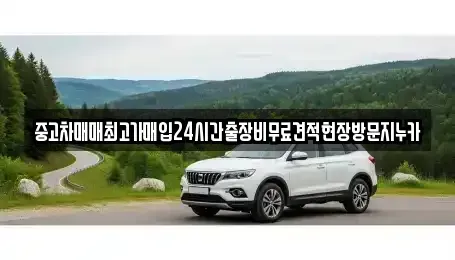 인천광역시 강화군 송해면 중고차매매 전문 중고차매매최고가매입24시간출장비무료견적현장방문지누카