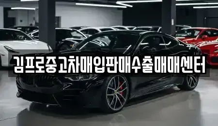 인천광역시 강화군 송해면 중고차매입 전문 김프로중고차매입판매수출매매센터
