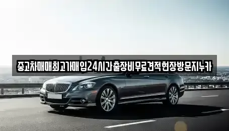 인천광역시 강화군 화도면 단기렌트카,중고차매입,중고차매매,중고차,렌트카,장기렌트카