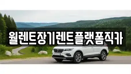 인천광역시 중구 해안동1가 장기렌트카 전문 월렌트장기렌트플랫폼직카