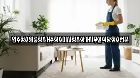 입주청소원룸청소거주청소이사청소상가사무실식당청소전문