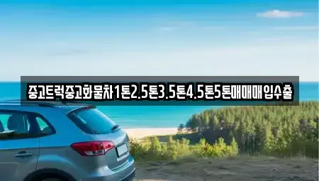 전남 광양시 진월면 중고차매입 전문 중고트럭중고화물차1톤2.5톤3.5톤4.5톤5톤매매매입수출