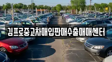 전남 보성군 단기렌트카,중고차매입,중고차매매,중고차,렌트카,장기렌트카