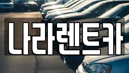 전남 여수시 시전동 렌트카 전문 나라렌트카