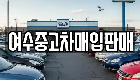전남 여수시 오림동 단기렌트카,중고차매입,중고차매매,중고차,렌트카,장기렌트카