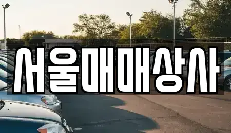 전라남도 광양시 진상면 중고차매매 전문 서울매매상사