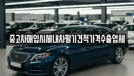 전라남도 광양시 진상면 중고차매입 전문 중고차매입시세내차팔기견적가격수출업체